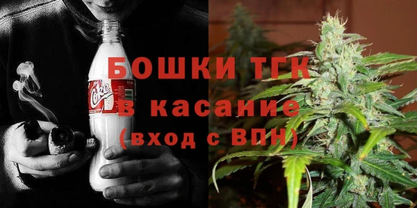 прущая мука Богданович