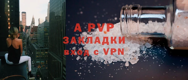PSILOCYBIN Белокуриха