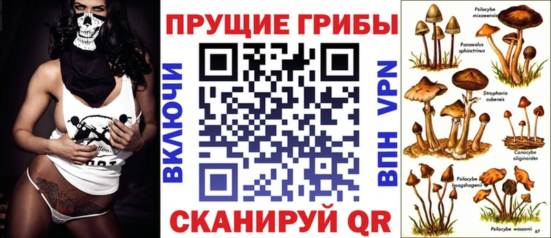 купить   blacksprut ССЫЛКА  Псилоцибиновые грибы GOLDEN TEACHER  Северск 